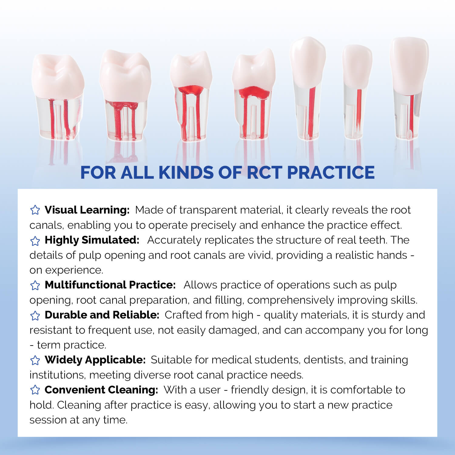 Dental RCT Root Canal Practice Model Endo Typodont Teeth 28pcs/Set - azdentall.com