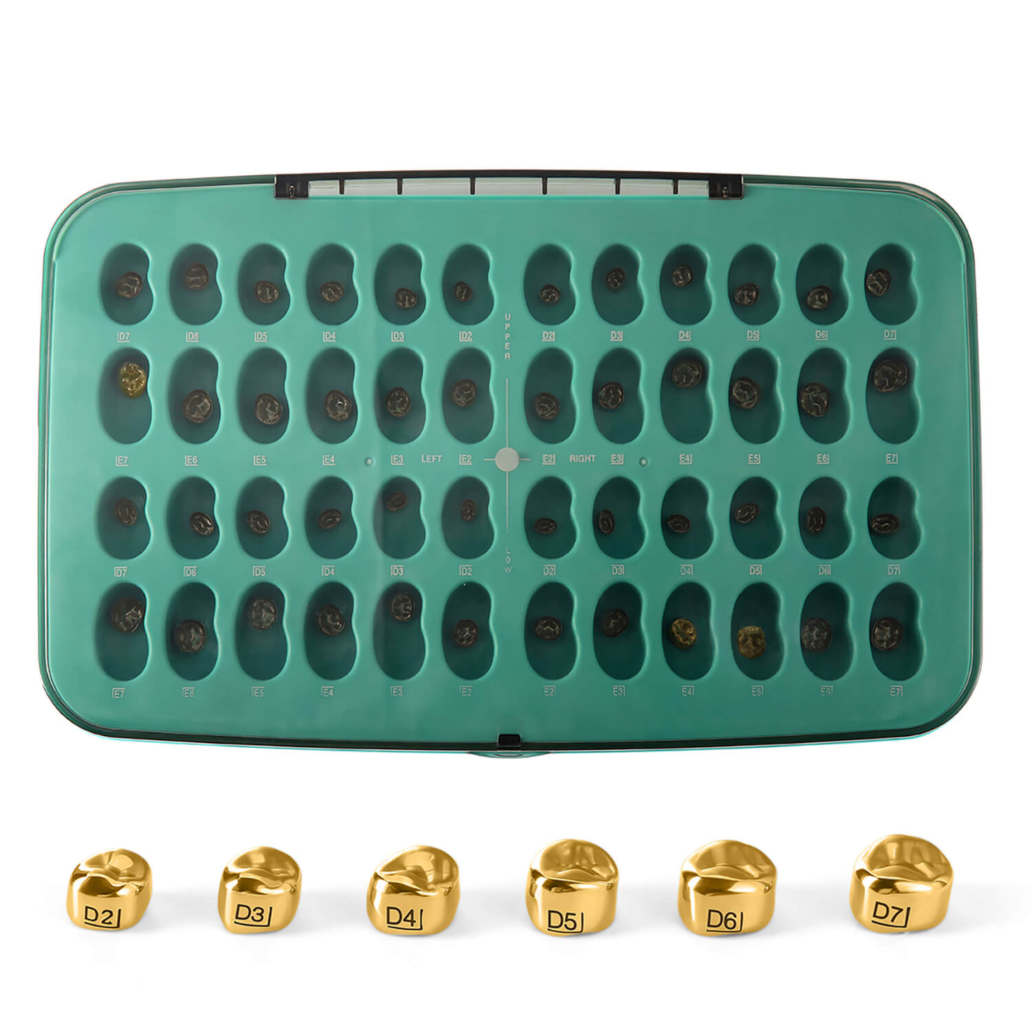 Dental Gold Primary Molar Kids Crown Teeth Stainless Steel Preformed Temporary Crowns Kit 48pcs/Box - azdentall.com