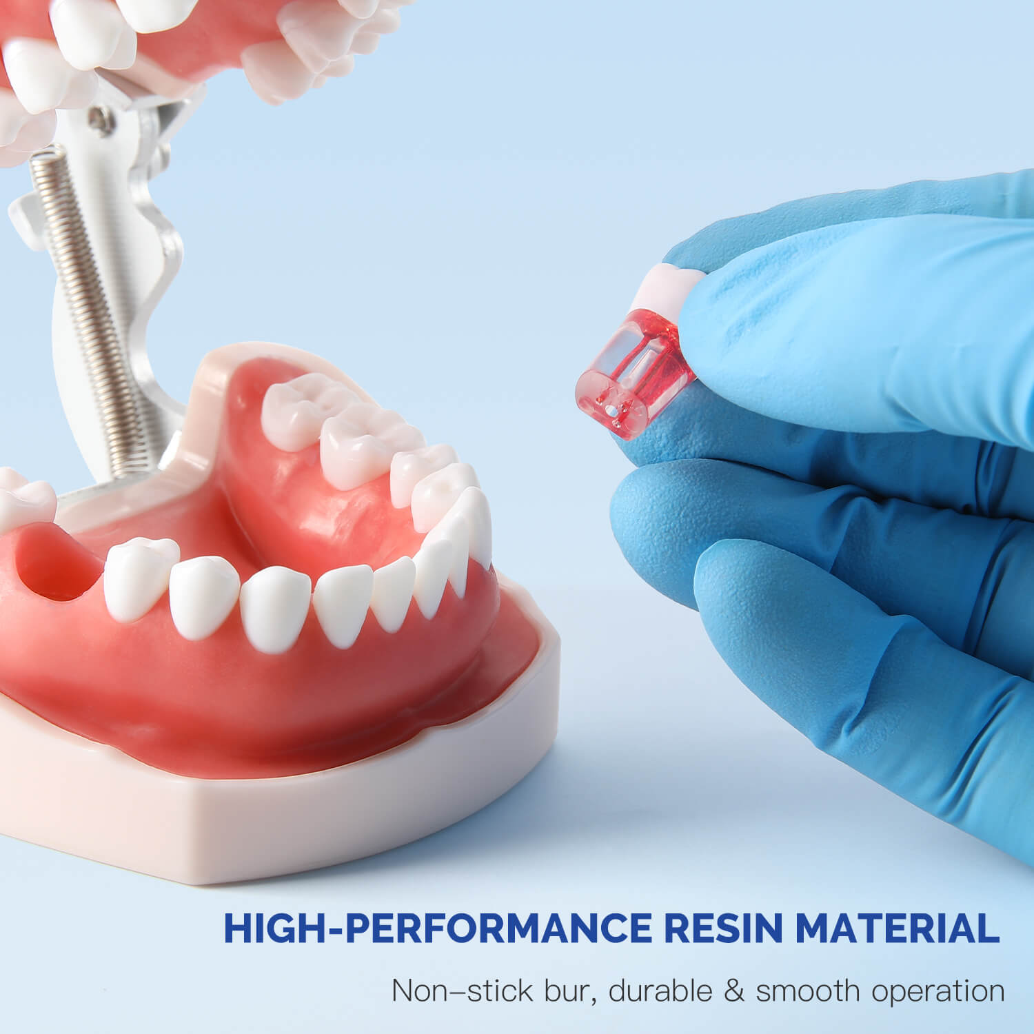 Dental RCT Root Canal Practice Model Endo Typodont Teeth 28pcs/Set - azdentall.com