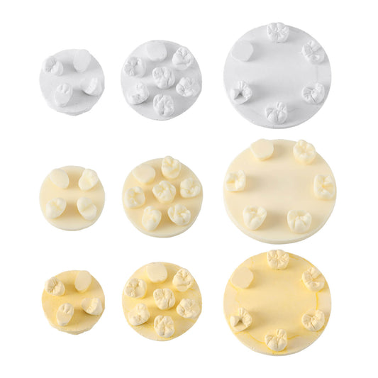 Dental Tooth Morphology Practice Model Gypsum/Resin Model Wax Up U6/L6/U4 Positions Training Kit - azdentall.com