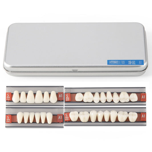 Dental Synthetic Resin Teeth Denture A1 A2 A3 GN-III Plastic Steel Two-Layer 28 Teeth/Set - azdentall.com