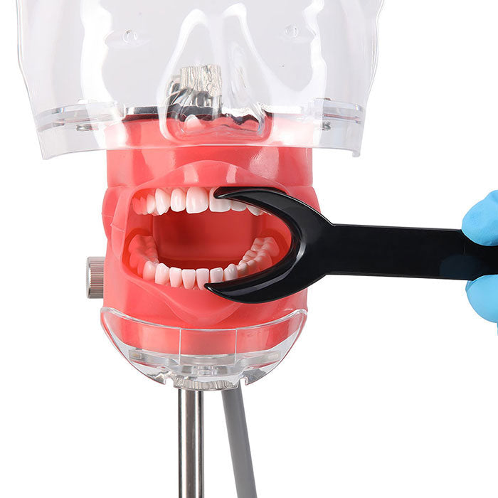 Dental T-Shape Double Head Cheek Retractors Mouth Opener Large & Small Black 4Pcs/Set - azdentall.com