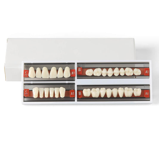 Dental Synthetic Resin Teeth Denture A1 A2 A3 Shade GL-I Two-Layer 28 Teeth/Set - azdentall.com