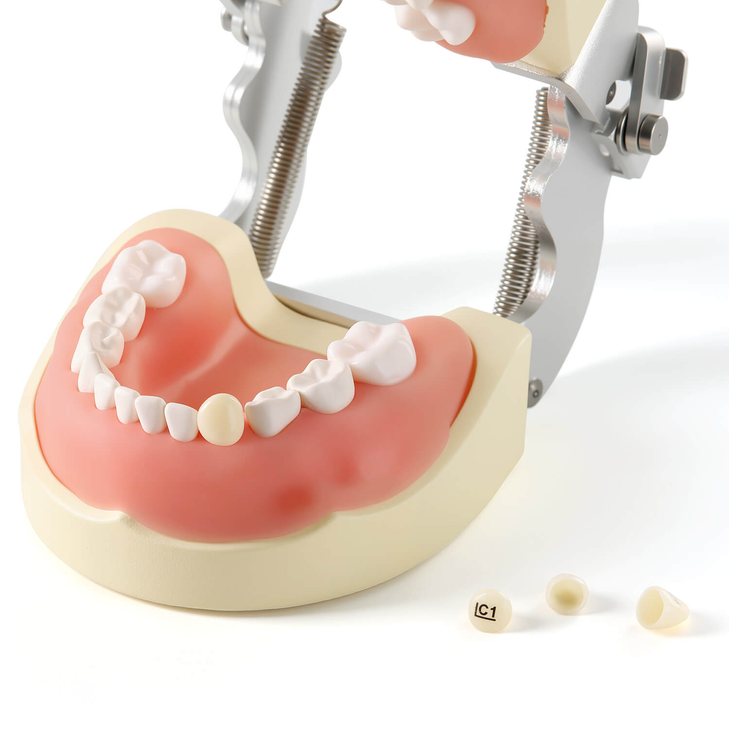 Dental Zirconia Crowns Kit for Kids Anterior Teeth Primary Molar Crowns 24pcs/Box - azdentall.com