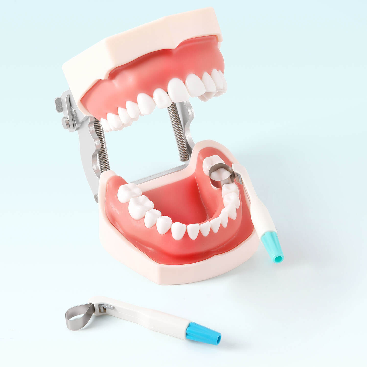 Dental Clear Contouring Matrix Band Adjustable Proximal Contouring Tool 6mm/4.5mm - azdentall.com