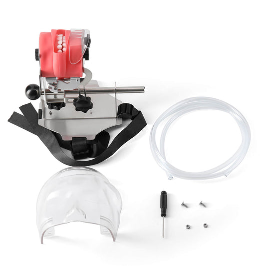 Dental Simulation Mannequin Teaching Head Model with Adjustable Straps - azdentall.com