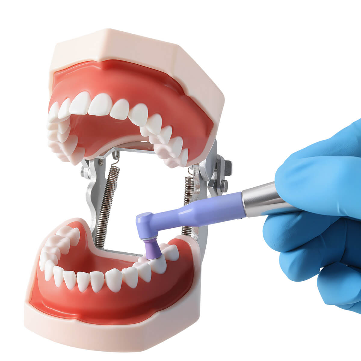 AZDENT Dental Hygiene Prophy Handpiece Air Motor 4 Holes with 3 Nose Cones - azdentall.com