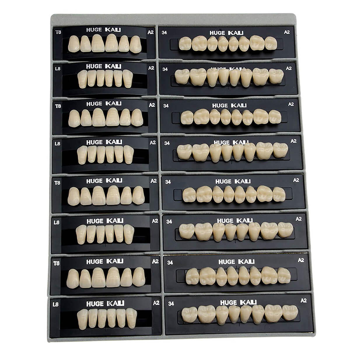 Dental Synthetic Polymer Teeth Resin Denture A1/A2/A3 28 Teeth/Set - azdentall.com