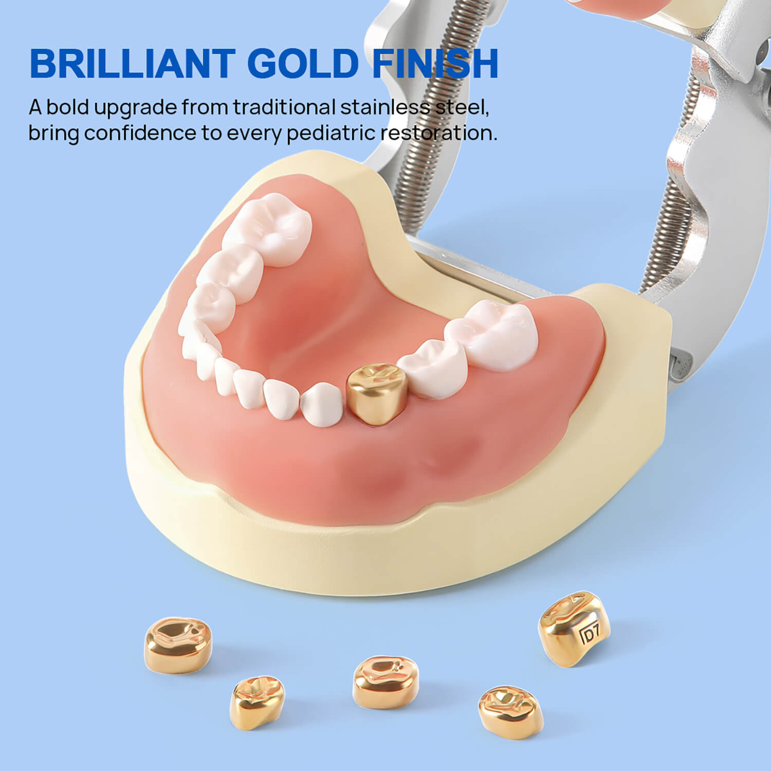 Dental Gold Primary Molar Kids Crown Teeth Stainless Steel Preformed Temporary Crowns Kit 48pcs/Box - azdentall.com