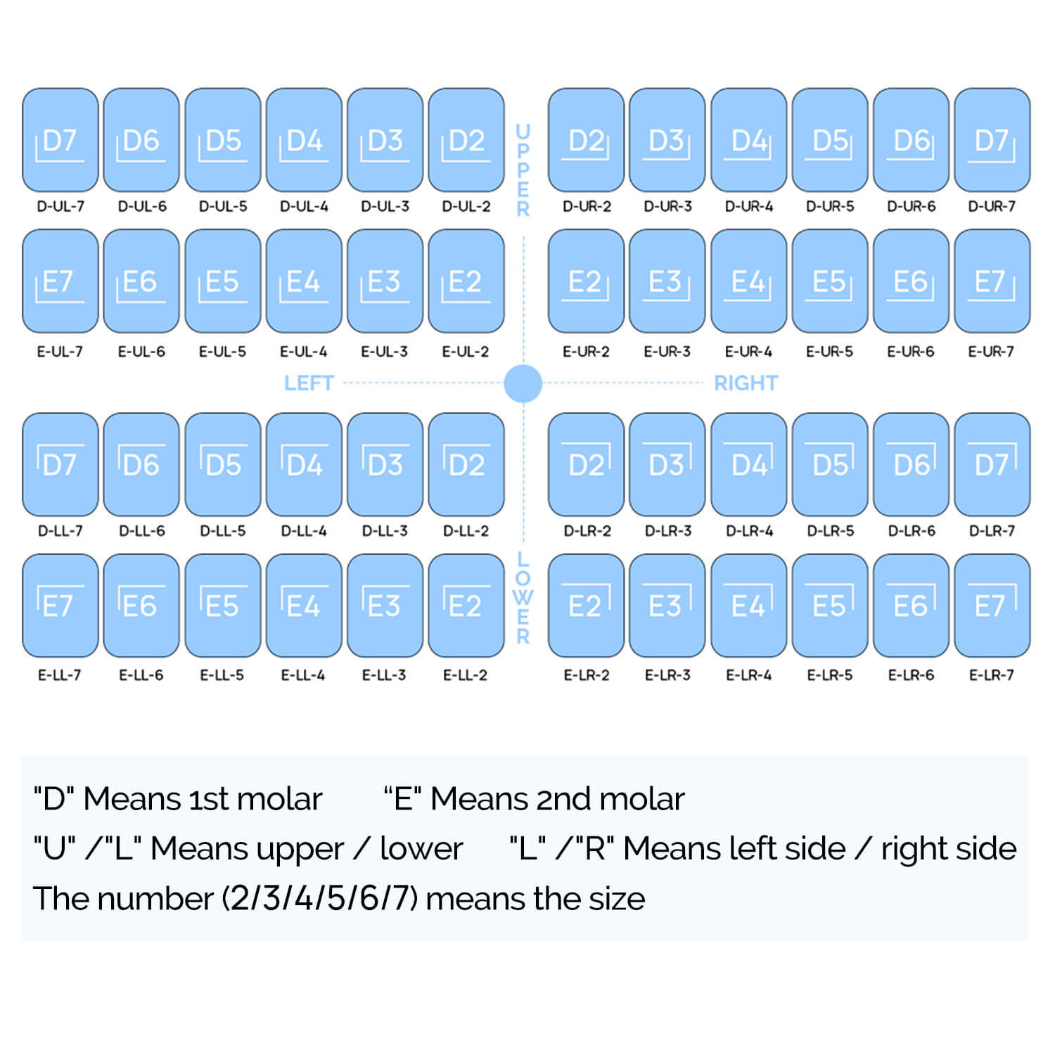 Dental Colored Primary Molar Kids Crown Teeth Stainless Steel Preformed Temporary Crowns Kit 48pcs/Box - azdentall.com