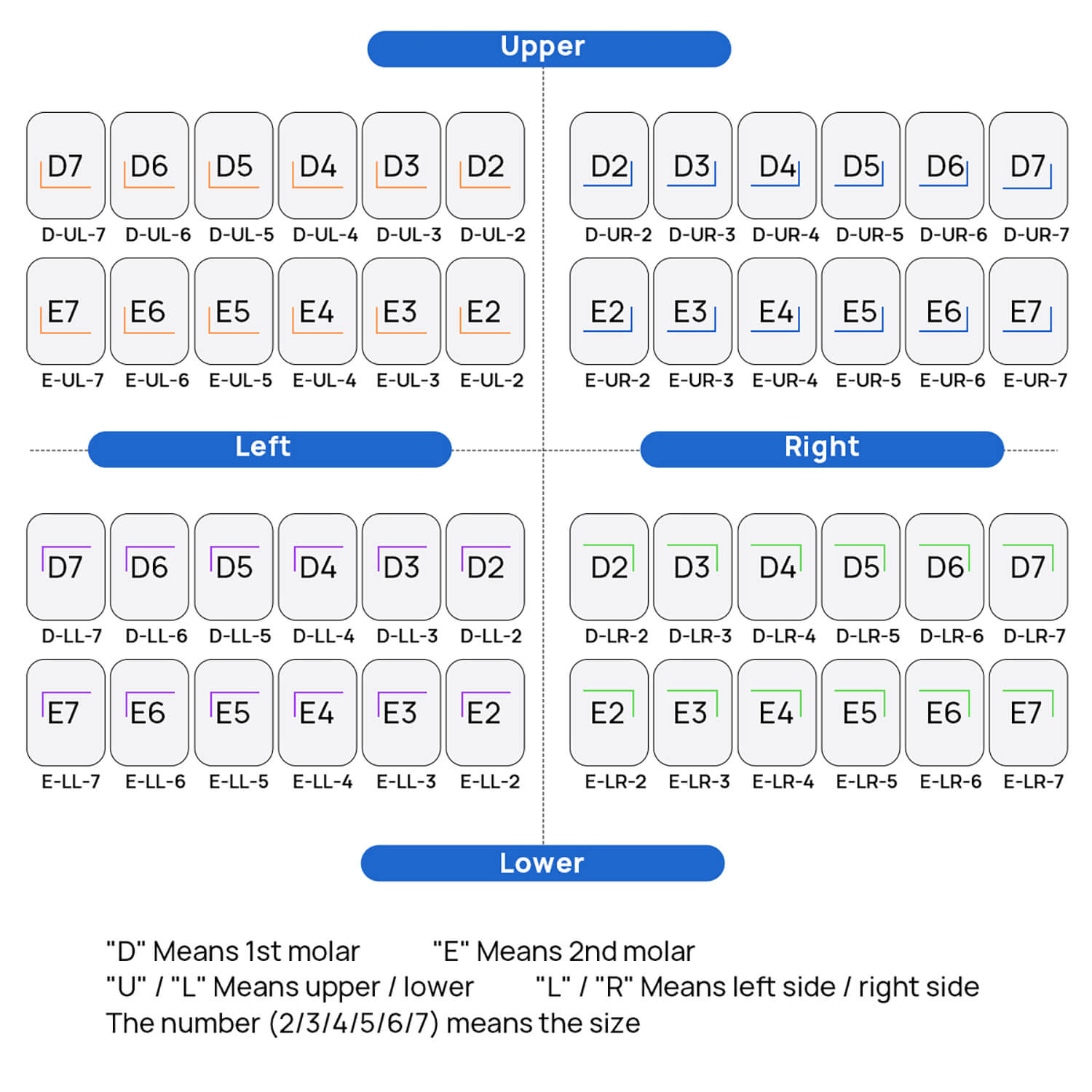 Dental Gold Primary Molar Kids Crown Teeth Stainless Steel Preformed Temporary Crowns Kit 48pcs/Box - azdentall.com