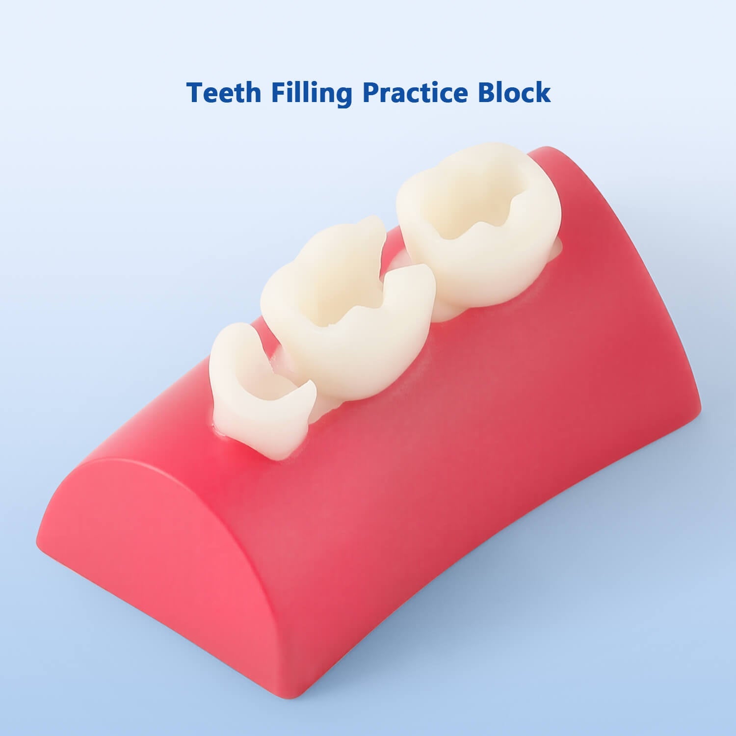 Dental Inlay Exercise Block Composite Resin Filling Teeth - azdentall.com