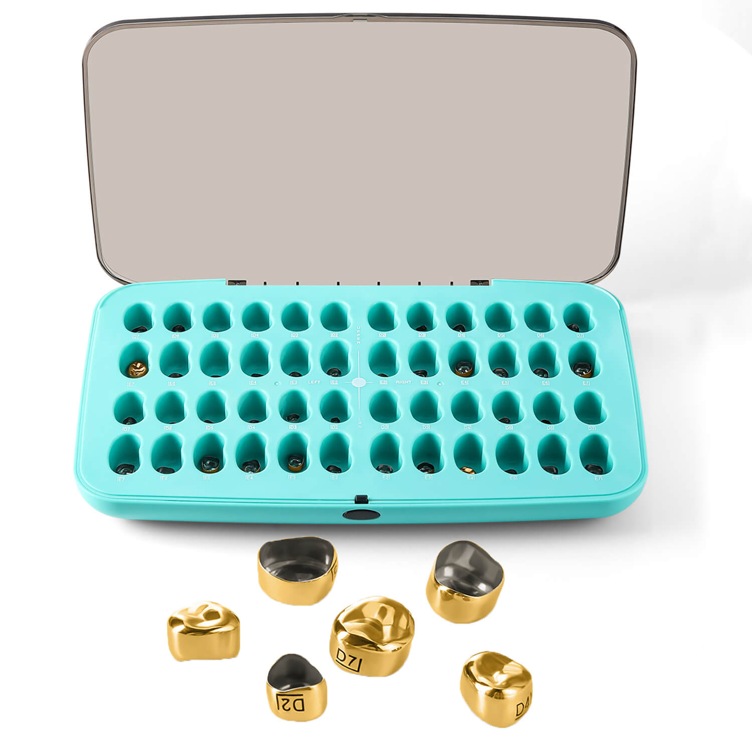Dental Gold Primary Molar Kids Crown Teeth Stainless Steel Preformed Temporary Crowns Kit 48pcs/Box - azdentall.com