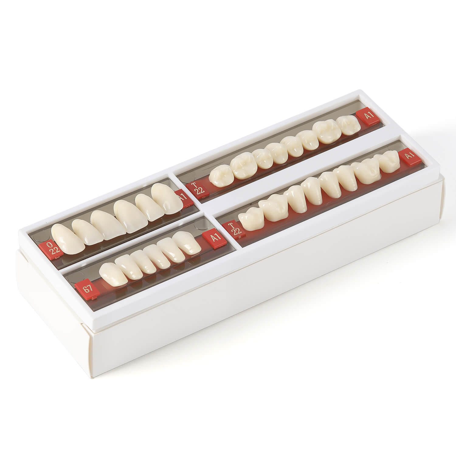 Dental Synthetic Resin Teeth Denture A1 A2 A3 Shade GN-II Two-Layer 28 Teeth/Set - azdentall.com