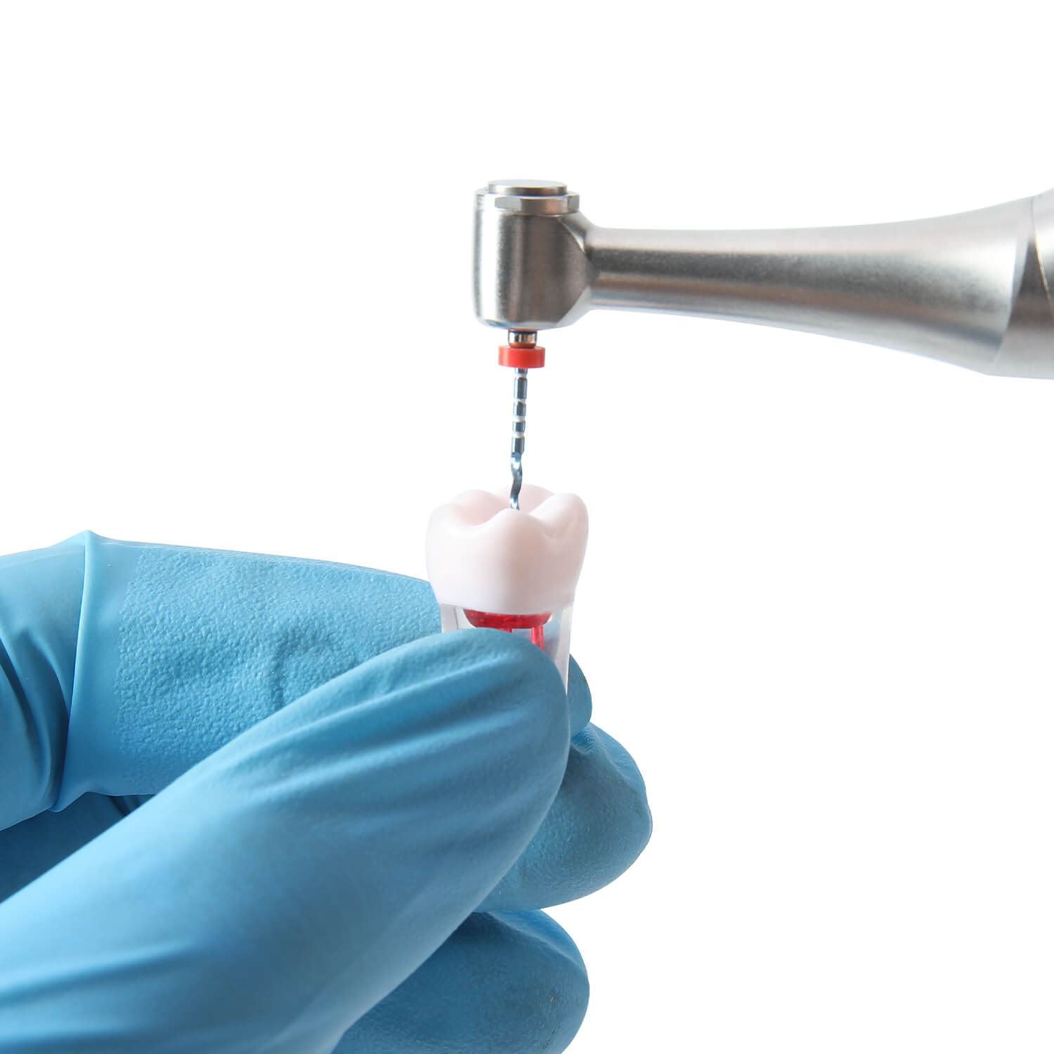 Dental RCT Root Canal Practice Model Endo Typodont Teeth 28pcs/Set - azdentall.com