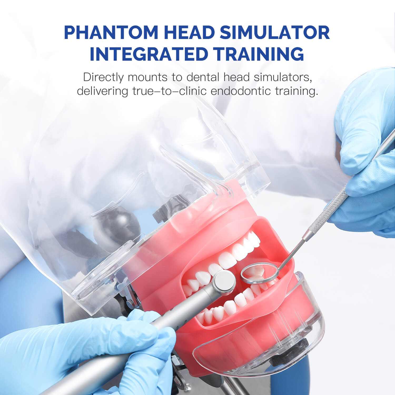 Dental RCT Root Canal Practice Model Endo Typodont Teeth 28pcs/Set - azdentall.com