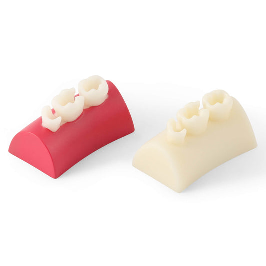 Dental Inlay Exercise Block Composite Resin Filling Teeth - azdentall.com