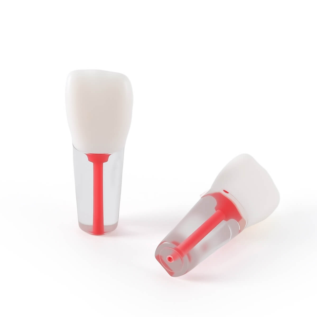 Dental Endo Teeth Model Transparent Root Canal Practice Block RCT Pulp Cavity Study Training Teaching - azdentall.com