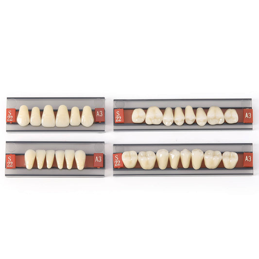 Dental Synthetic Resin Teeth Denture A1 A2 A3 Shade GL-I Two-Layer 28 Teeth/Set - azdentall.com