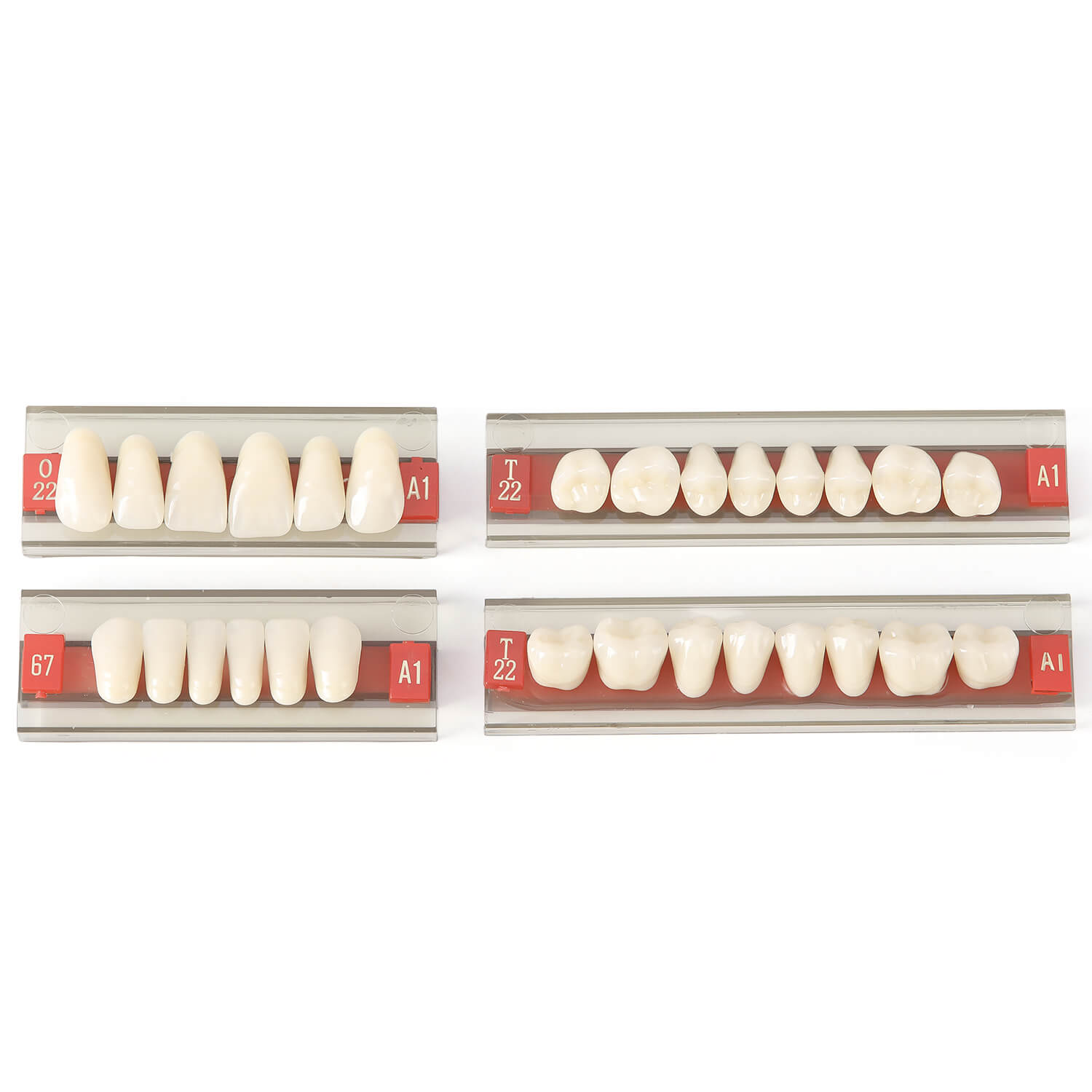 Dental Synthetic Resin Teeth Denture A1 A2 A3 Shade GN-II Two-Layer 28 Teeth/Set - azdentall.com