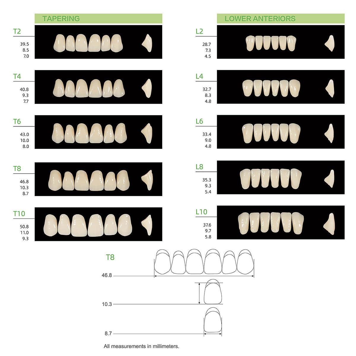 Dental Synthetic Polymer Teeth Resin Denture A1/A2/A3 28 Teeth/Set - azdentall.com