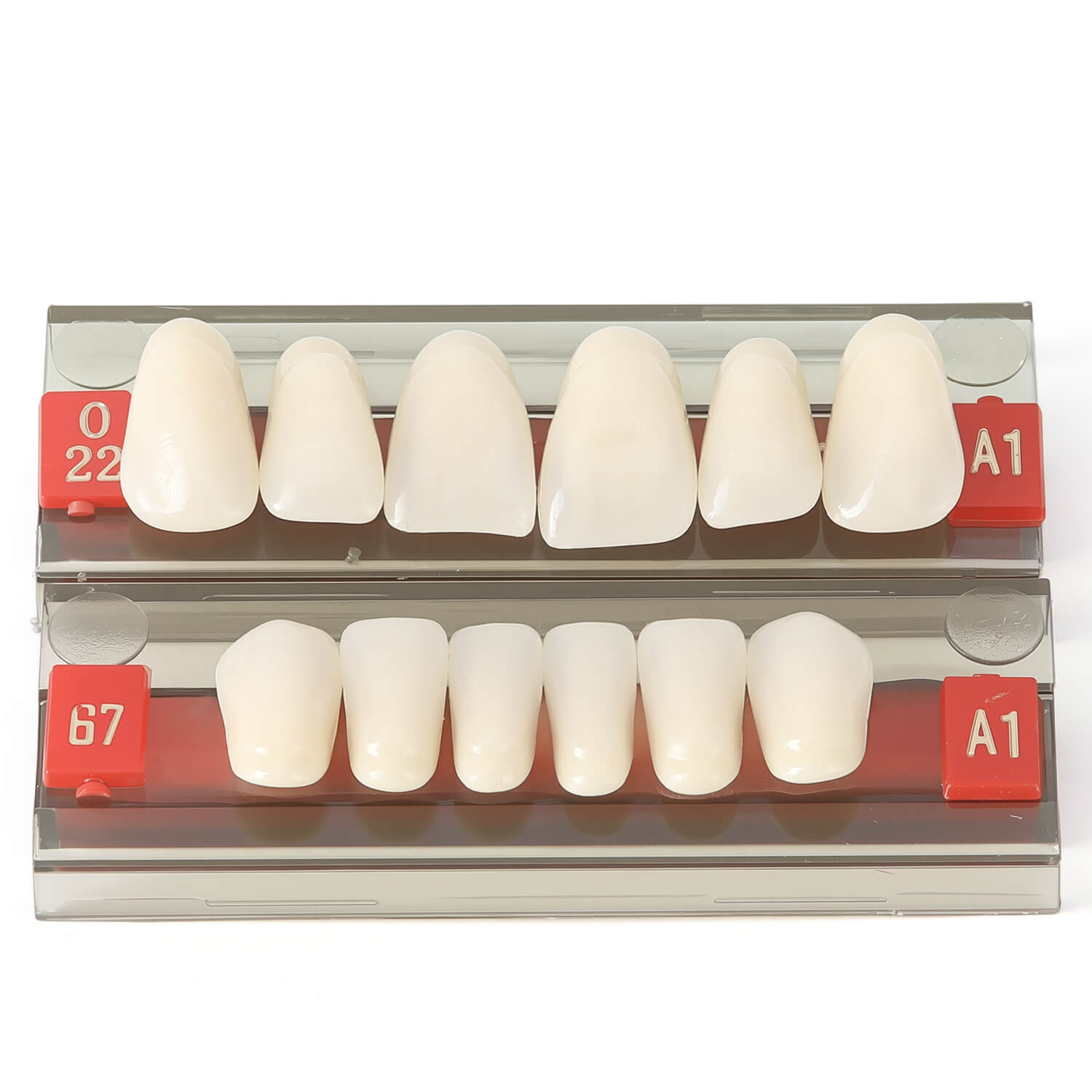 Dental Synthetic Resin Teeth Denture A1 A2 A3 Shade GN-II Two-Layer 28 Teeth/Set - azdentall.com