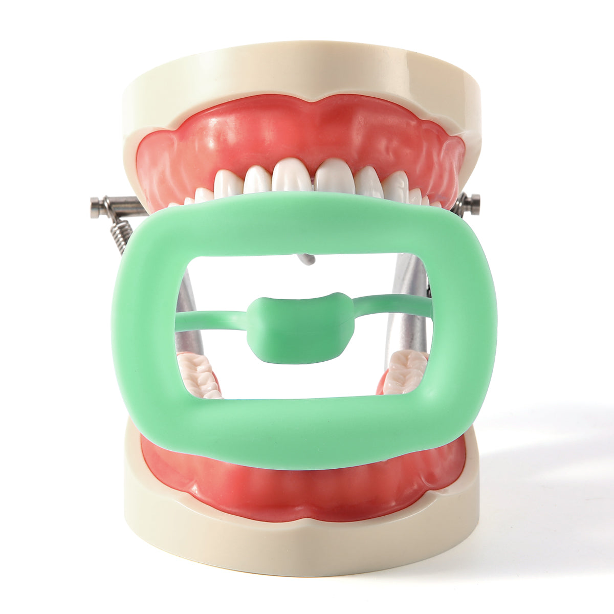 Dental Soft Mouth Opener Orthodontic 3D Intraoral Lip Cheek Retractor Light Green - azdentall.com