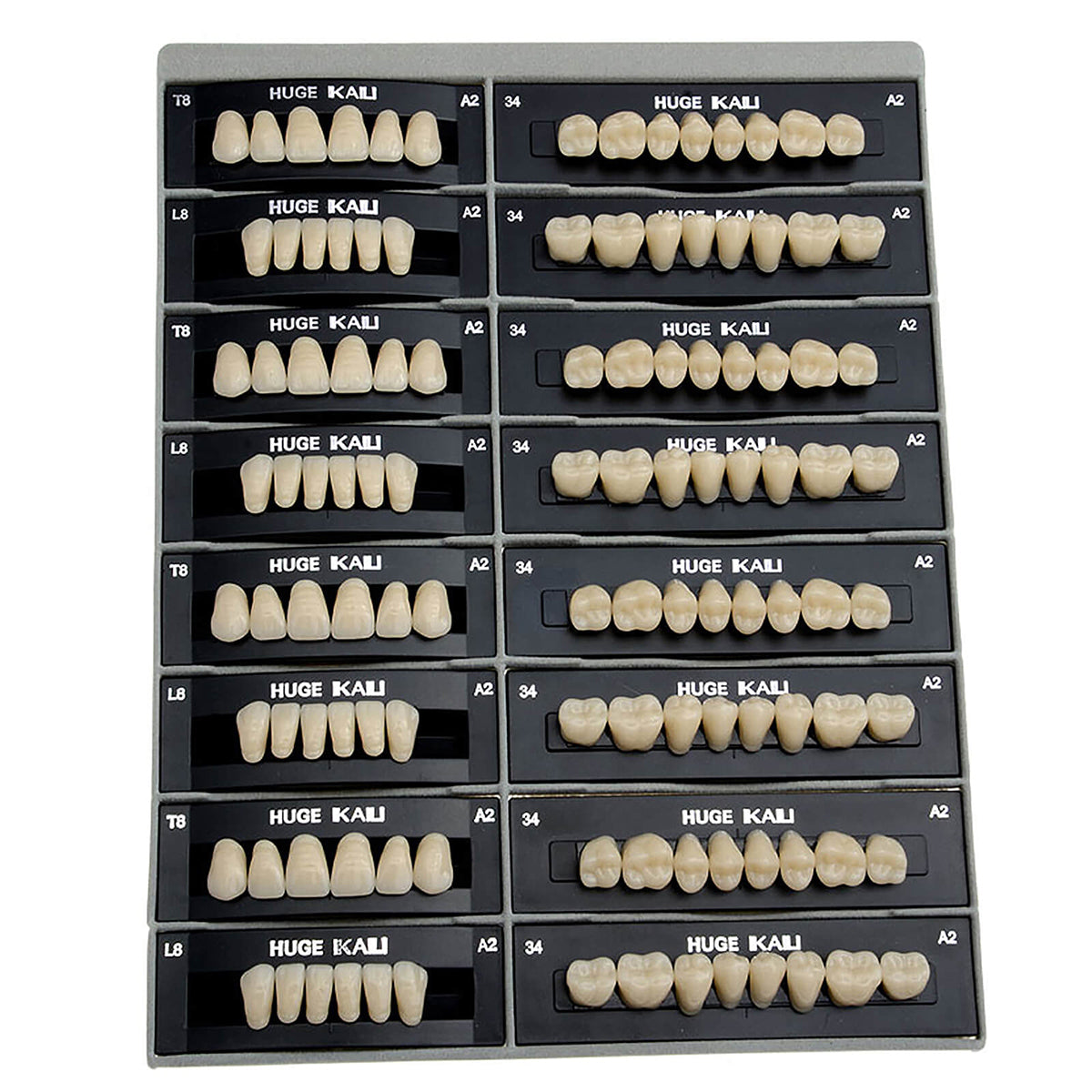 Dental Synthetic Polymer Teeth Resin Denture A1/A2/A3 28 Teeth/Set - azdentall.com