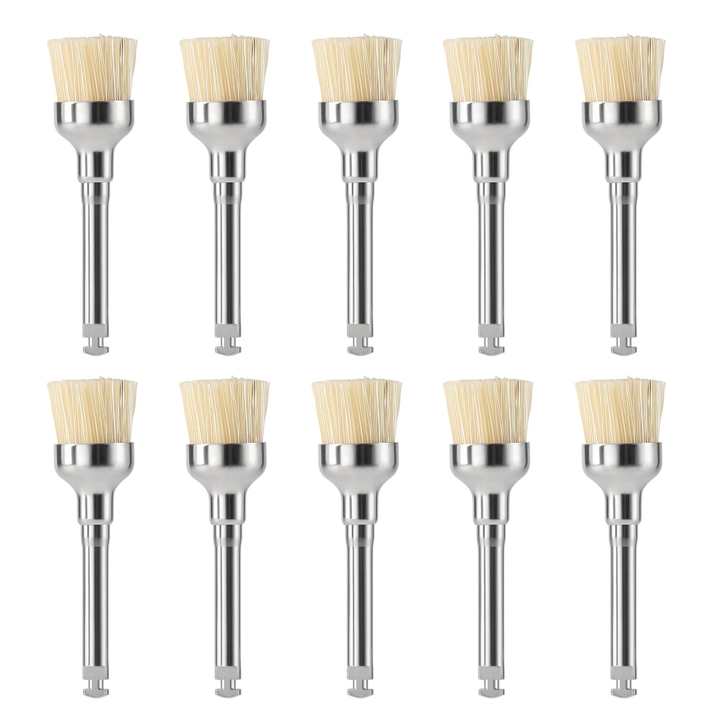 Dental Bristle Prophy Polishing Brush Bowl Shape 10pcs/Pack - azdentall.com