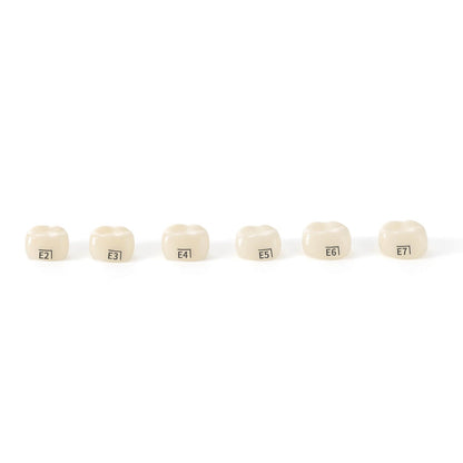48 Sizes Dental Zirconia Crowns for Kids Posterior Teeth Primary Molar Crowns 1pc/Box - azdentall.com