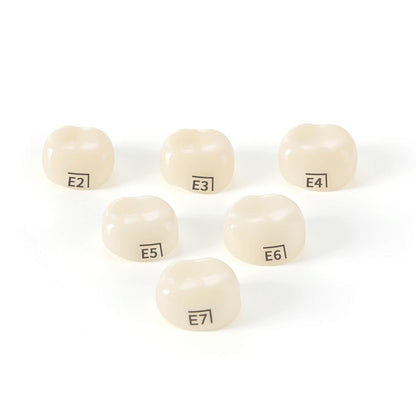 48 Sizes Dental Zirconia Crowns for Kids Posterior Teeth Primary Molar Crowns 1pc/Box - azdentall.com