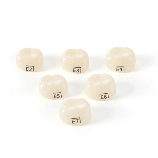 48 Sizes Dental Zirconia Crowns for Kids Posterior Teeth Primary Molar Crowns 1pc/Box - azdentall.com