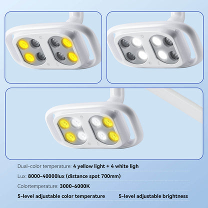 Dental LED Lamp Oral Light For Unit Chair 8 Lights 10W Dual-Color Adjustable - azdentall.com