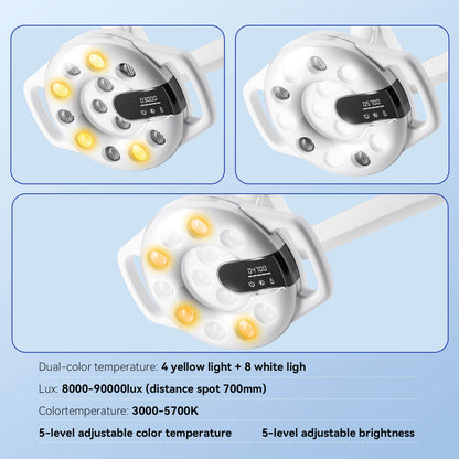 Dental Unit Chair LED Oral Light Lamp 12 Lights 20W Dual-Color Adjustable - azdentall.com