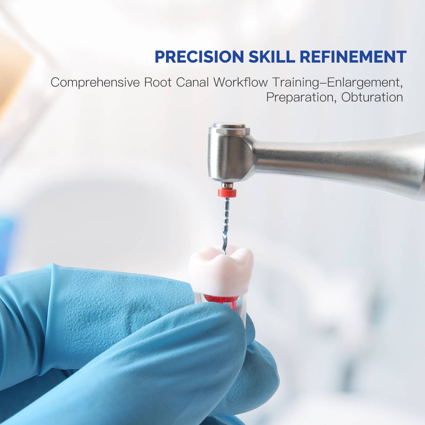 Dental RCT Root Canal Practice Model Endo Typodont Teeth 28pcs/Set - azdentall.com