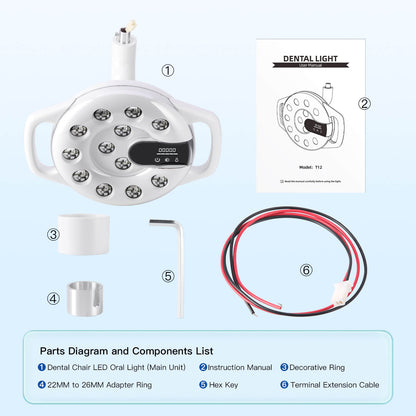 Dental Unit Chair LED Oral Light Lamp 12 Lights 20W Dual-Color Adjustable - azdentall.com