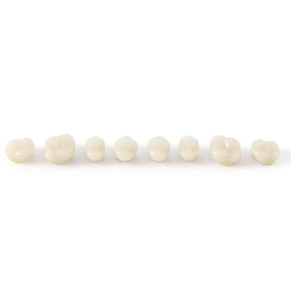 Dental Synthetic Resin Teeth Denture A1 A2 A3 Shade GL-I Two-Layer 28 Teeth/Set - azdentall.com