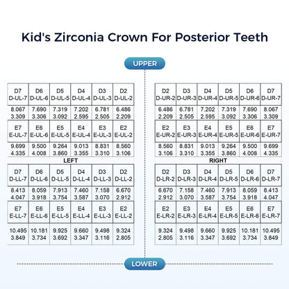 48 Sizes Dental Zirconia Crowns for Kids Posterior Teeth Primary Molar Crowns 1pc/Box - azdentall.com