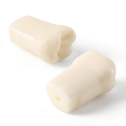 Dental Standard Resin Typodont Teeth Replacement Screw-in Teeth Model 32Pcs/Box - azdentall.com