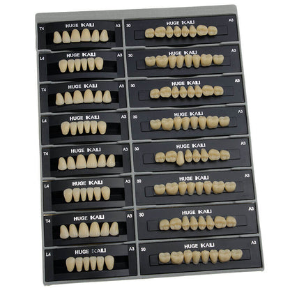 Dental Synthetic Polymer Teeth Resin Denture A1/A2/A3 28 Teeth/Set - azdentall.com