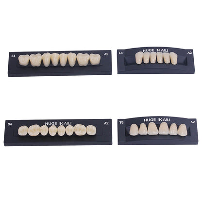 Dental Synthetic Polymer Teeth Resin Denture A1/A2/A3 28 Teeth/Set - azdentall.com