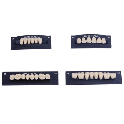 Dental Synthetic Polymer Teeth Resin Denture A1/A2/A3 28 Teeth/Set - azdentall.com
