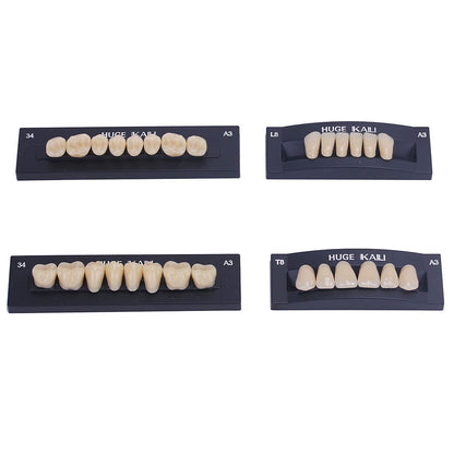 Dental Synthetic Polymer Teeth Resin Denture A1/A2/A3 28 Teeth/Set - azdentall.com