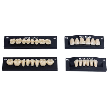 Dental Synthetic Polymer Teeth Resin Denture A1/A2/A3 28 Teeth/Set - azdentall.com
