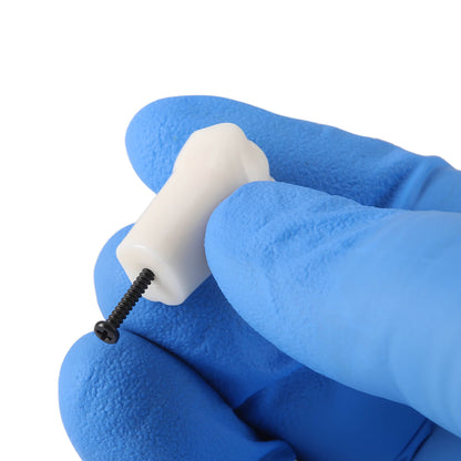 Dental Standard Resin Typodont Teeth Replacement Screw-in Teeth Model 32Pcs/Box - azdentall.com