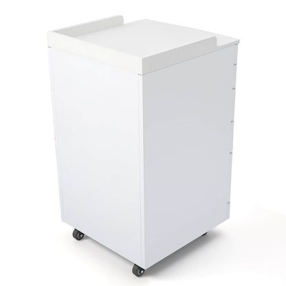 Dental C05A Quartz and Stainless Steel Four Drawer Mobile Cabinet & Two Instrument Tray - azdentall.com