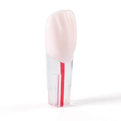 Dental RCT Root Canal Practice Model Endo Typodont Teeth 28pcs/Set - azdentall.com