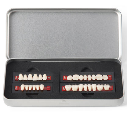 Dental Synthetic Resin Teeth Denture A1 A2 A3 GN-III Plastic Steel Two-Layer 28 Teeth/Set - azdentall.com