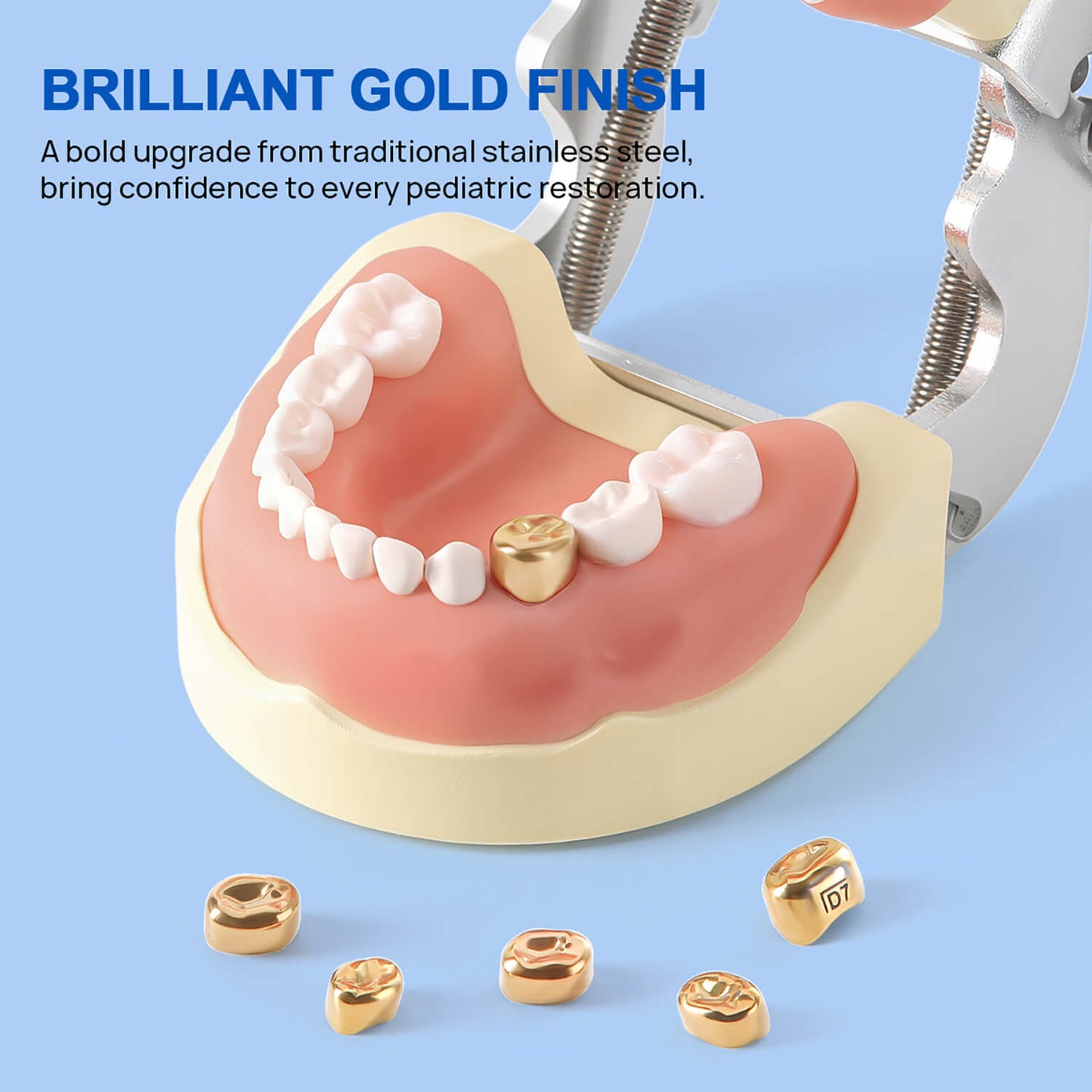 48 Sizes Dental Gold Primary Molar Kids Crown Stainless Steel Preformed Temporary Crowns 5pcs/Box - azdentall.com