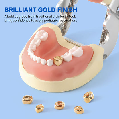 48 Sizes Dental Gold Primary Molar Kids Crown Stainless Steel Preformed Temporary Crowns 5pcs/Box - azdentall.com